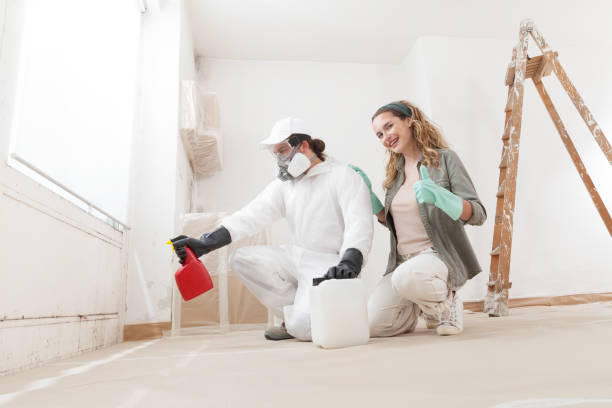 Best Mold Odor Removal Services  in , OK